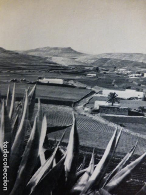 Documentos antigos: LANZAROTE HUERTAS ANTIGUO HUECOGRABADO
