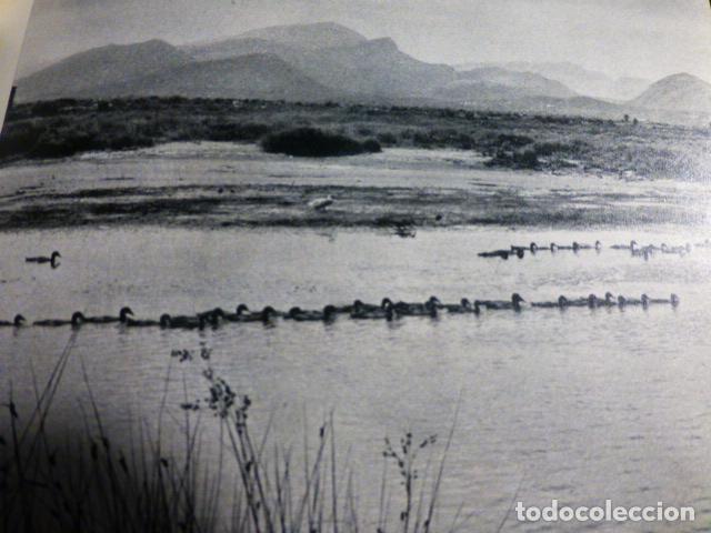 Alte Dokumente: ALCUDIA MALLORCA LA ALBUFERA ANTIGUO HUECOGRABADO