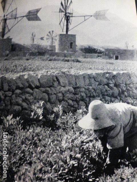 Documentos antiguos: LA PUEBLA MALLORCA MOLINO ANTIGUO HUECOGRABADO