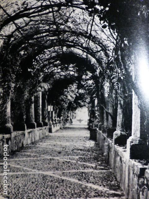 Documenti antichi: MALLORCA JARDIN DE ALFABIA ANTIGUO HUECOGRABADO