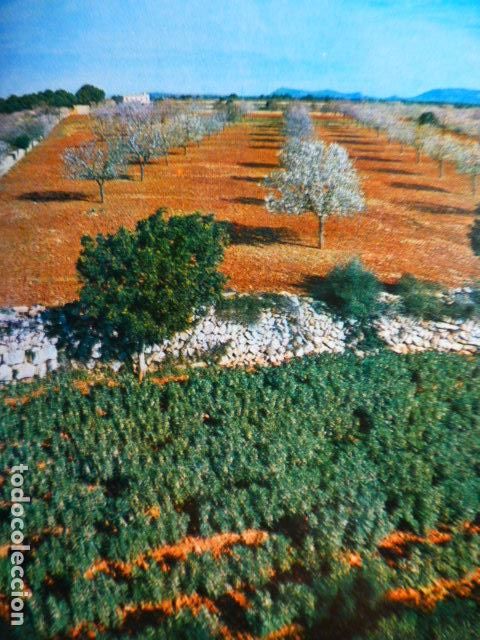 Old Documents: MALLORCA CAMPO MALLORQUIN ANTIGUO HUECOGRABADO