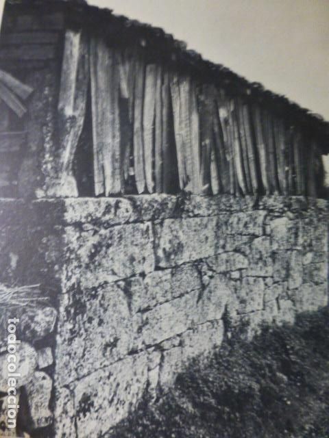 Documentos antiguos: VIDUEDO ORENSE ANTIGUO HUECOGRABADO - Foto 1