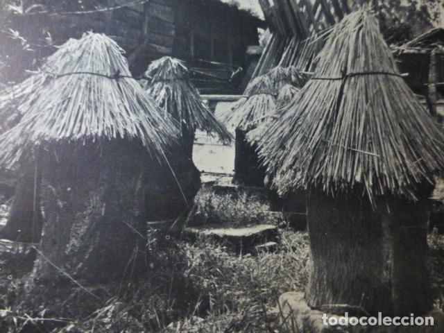 Documentos antiguos: GONDOMAR PONTEVEDRA ANTIGUO HUECOGRABADO - Foto 1