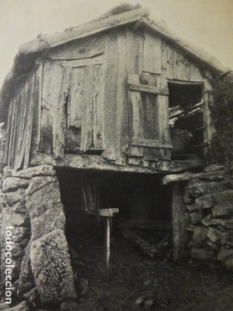 Alte Dokumente: PADROSOS PONTEVEDRA ANTIGUO HUECOGRABADO