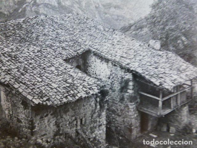 Documentos antiguos: OSEJA DE SAJAMBRE LEON ANTIGUO HUECOGRABADO - Foto 1