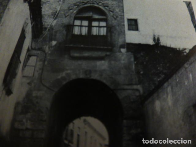 Documenti antichi: TORO ZAMORA ANTIGUO HUECOGRABADO