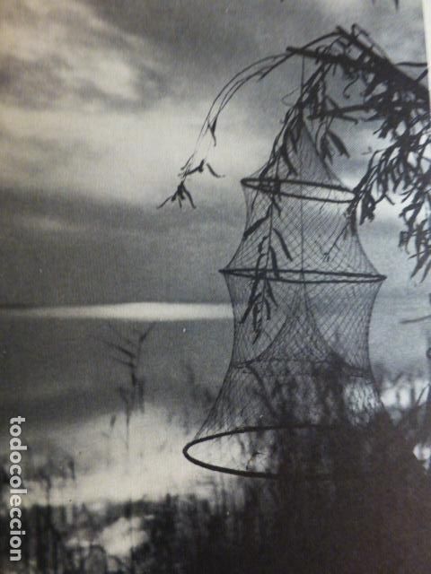 Documentos antigos: VALENCIA LA ALBUFERA ANTIGUA LAMINA HUECOGRABADO