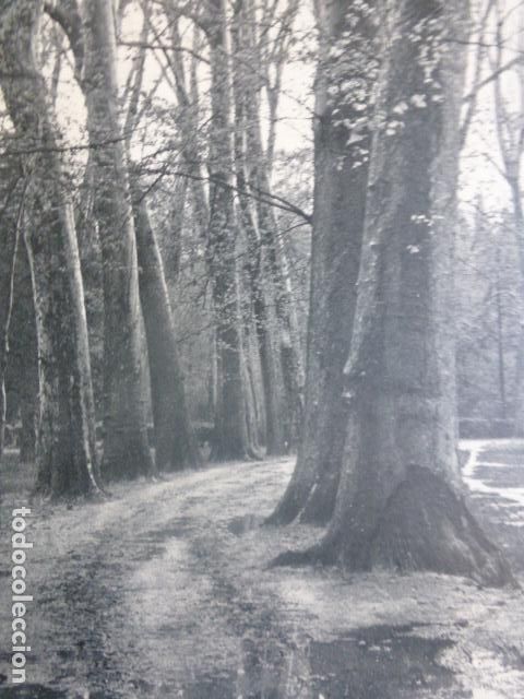 Documentos antiguos: ARANJUEZ MADRID ANTIGUO HUECOGRABADO - Foto 1