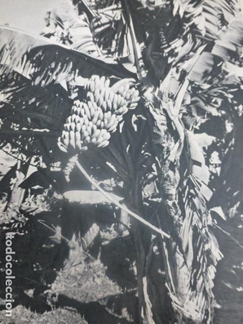 Documentos antiguos: TENERIFE ANTIGUO HUECOGRABADO - Foto 1