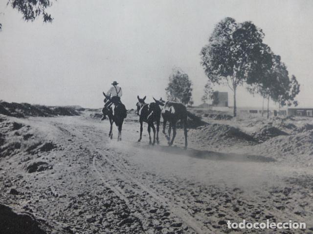Alte Dokumente: EXTREMADURA ANTIGUO HUECOGRABADO