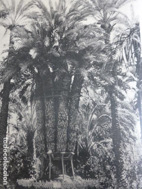 Alte Dokumente: ELCHE ALICANTE ANTIGUO HUECOGRABADO