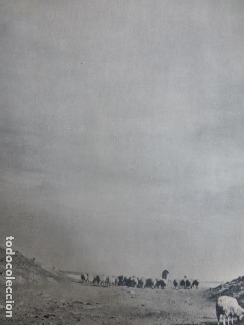 Documentos antiguos: MERIDA BADAJOZ ANTIGUO HUECOGRABADO - Foto 1