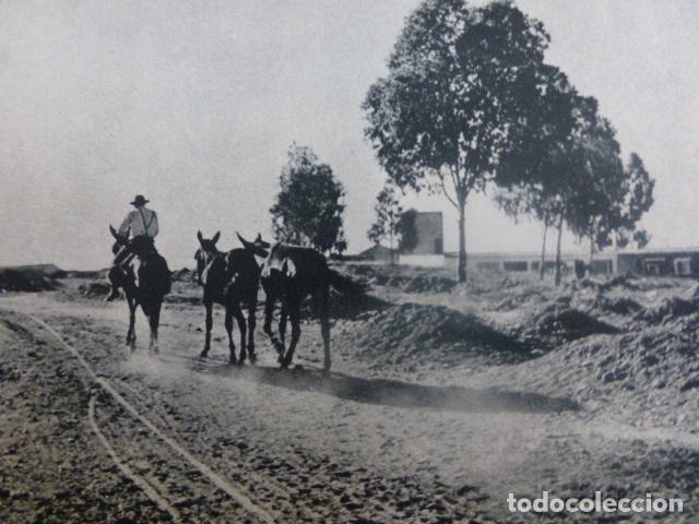 Documentos antiguos: TALAVERA DE LA REINA TOLEDO ANTIGUO HUECOGRABADO