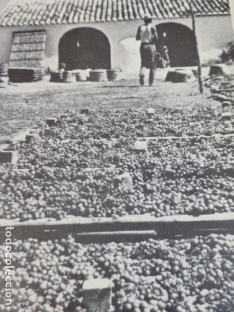 Documentos antiguos: BENITACHELL ALICANTE ANTIGUO HUECOGRABADO