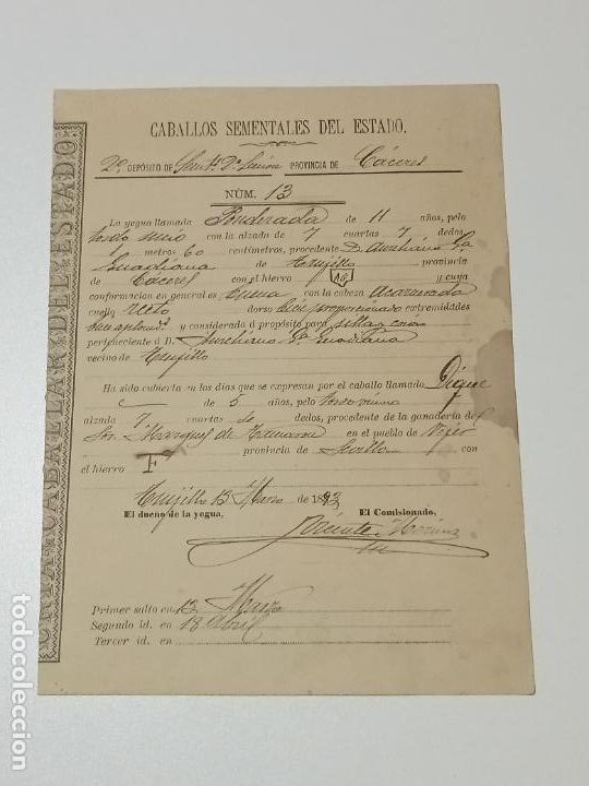 Alte Dokumente: TRUJILLO, CACERES 1893. FICHA APAREAMIENTO CABALLOS Y NACIMIENTO CRIA DEPOSITO 2&ordm; SECCION CACERES