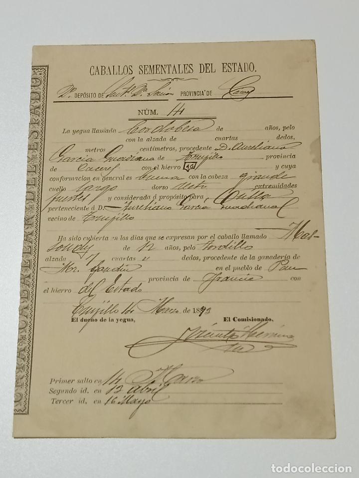 Alte Dokumente: TRUJILLO, CACERES 1893. FICHA APAREAMIENTO CABALLOS Y NACIMIENTO CRIA DEPOSITO 2&ordm; SECCION CACERES
