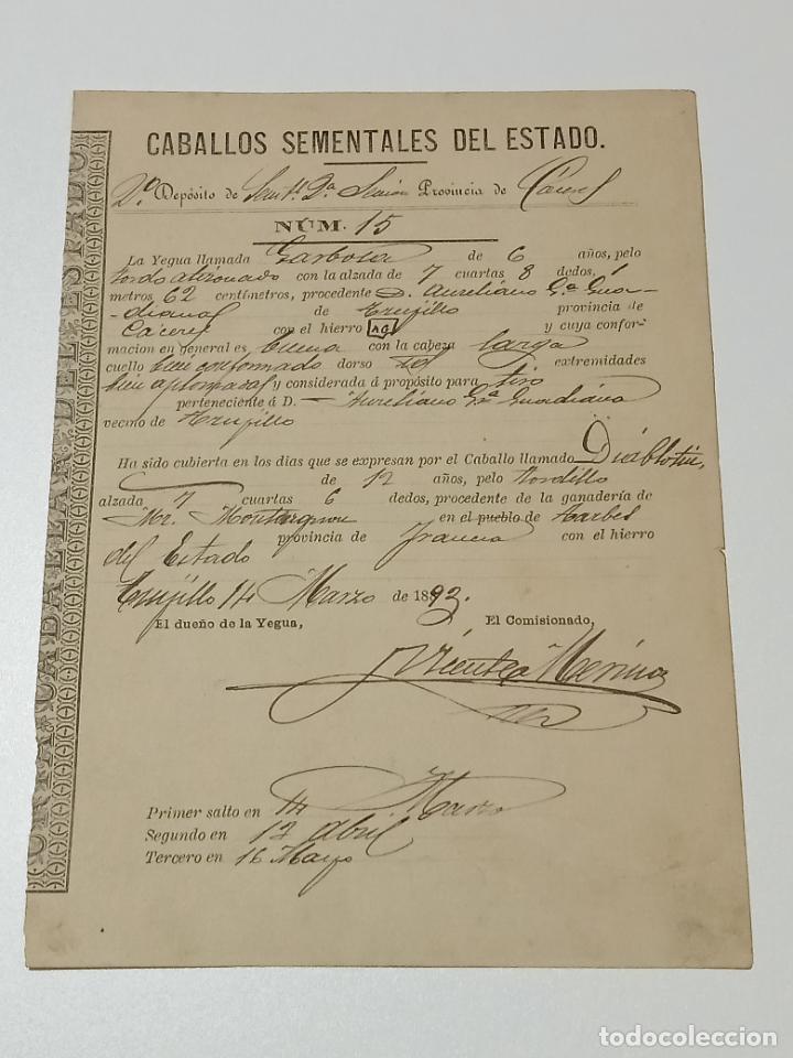 Alte Dokumente: TRUJILLO, CACERES 1893. FICHA APAREAMIENTO CABALLOS Y NACIMIENTO CRIA DEPOSITO 2&ordm; SECCION CACERES