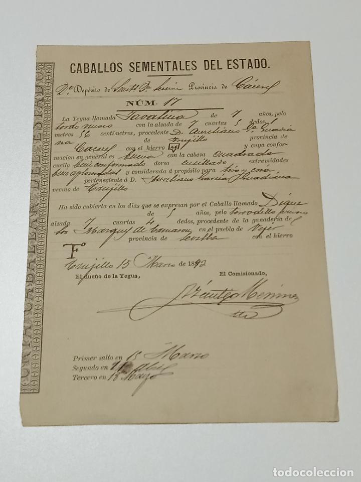 Alte Dokumente: TRUJILLO, CACERES 1893. FICHA APAREAMIENTO CABALLOS Y NACIMIENTO CRIA DEPOSITO 2&ordm; SECCION CACERES