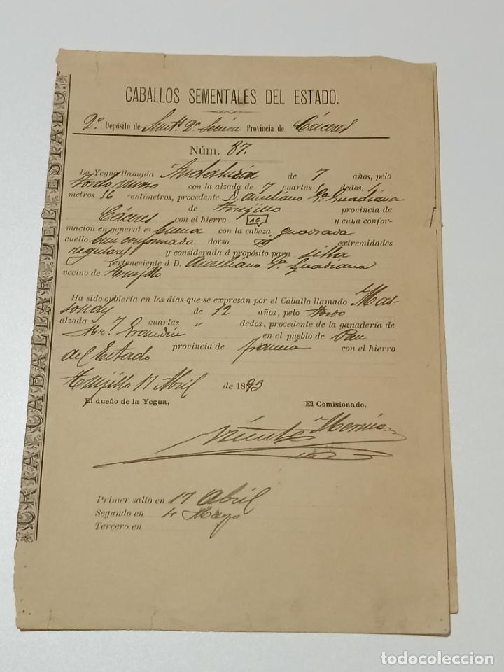 Alte Dokumente: TRUJILLO, CACERES 1893. FICHA APAREAMIENTO CABALLOS Y NACIMIENTO CRIA DEPOSITO 2&ordm; SECCION CACERES