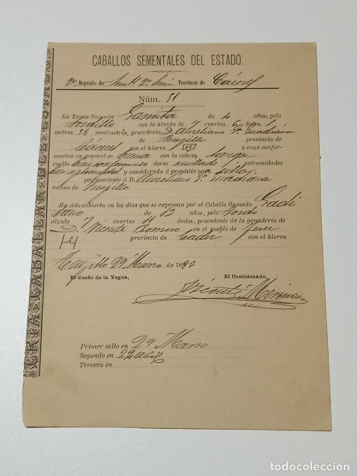 Alte Dokumente: TRUJILLO, CACERES 1893. FICHA APAREAMIENTO CABALLOS Y NACIMIENTO CRIA DEPOSITO 2&ordm; SECCION CACERES