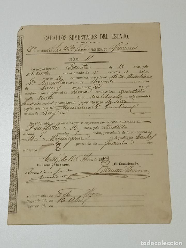 Alte Dokumente: TRUJILLO, CACERES 1893. FICHA APAREAMIENTO CABALLOS Y NACIMIENTO CRIA DEPOSITO 2&ordm; SECCION CACERES