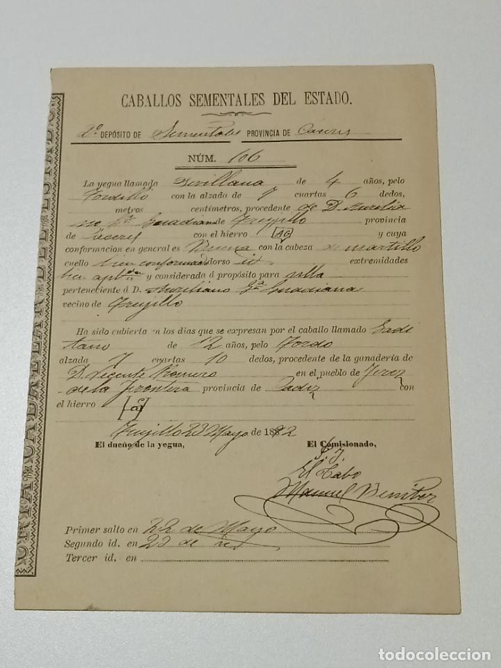 Alte Dokumente: TRUJILLO, CACERES 1893. FICHA APAREAMIENTO CABALLOS Y NACIMIENTO CRIA DEPOSITO SEMENTALES 2&ordm; CACERES