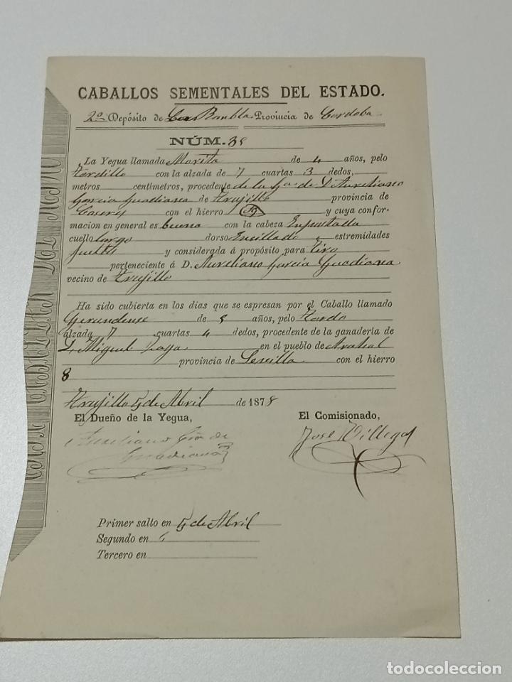 Alte Dokumente: TRUJILLO, CACERES 1878. FICHA APAREAMIENTO CABALLOS Y NACIMIENTO CRIA DEPOSITO LAS RAMBLAS, CORDOBA
