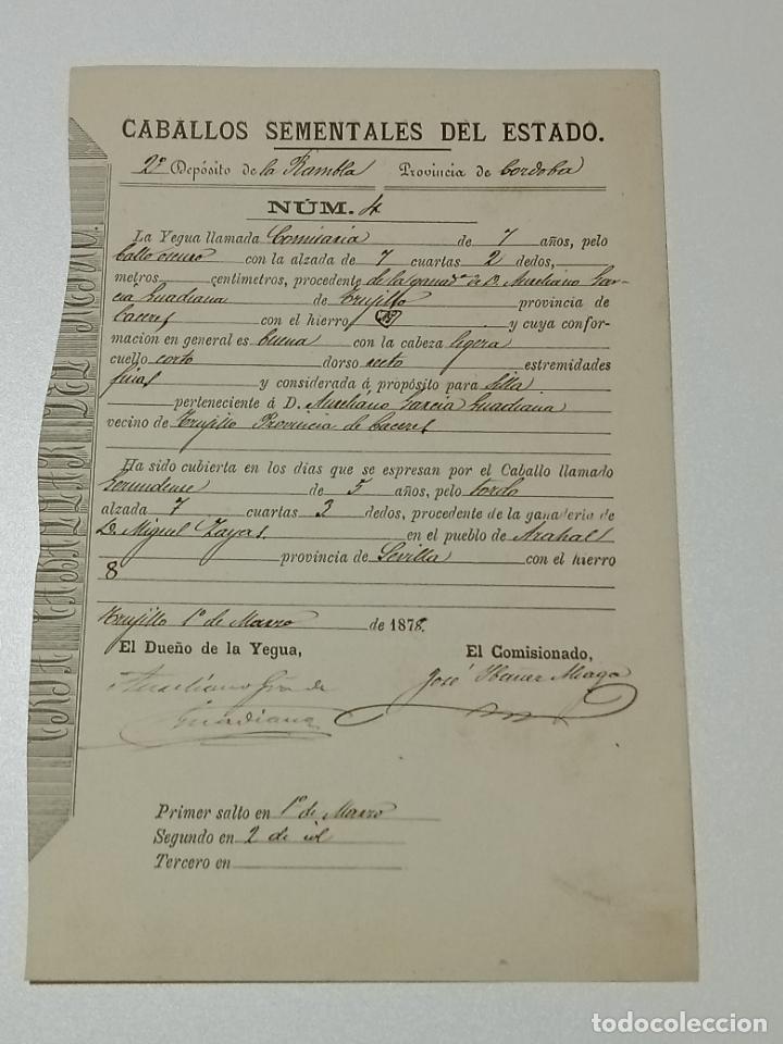 Alte Dokumente: TRUJILLO, CACERES 1878. FICHA APAREAMIENTO CABALLOS Y NACIMIENTO CRIA DEPOSITO LAS RAMBLAS, CORDOBA