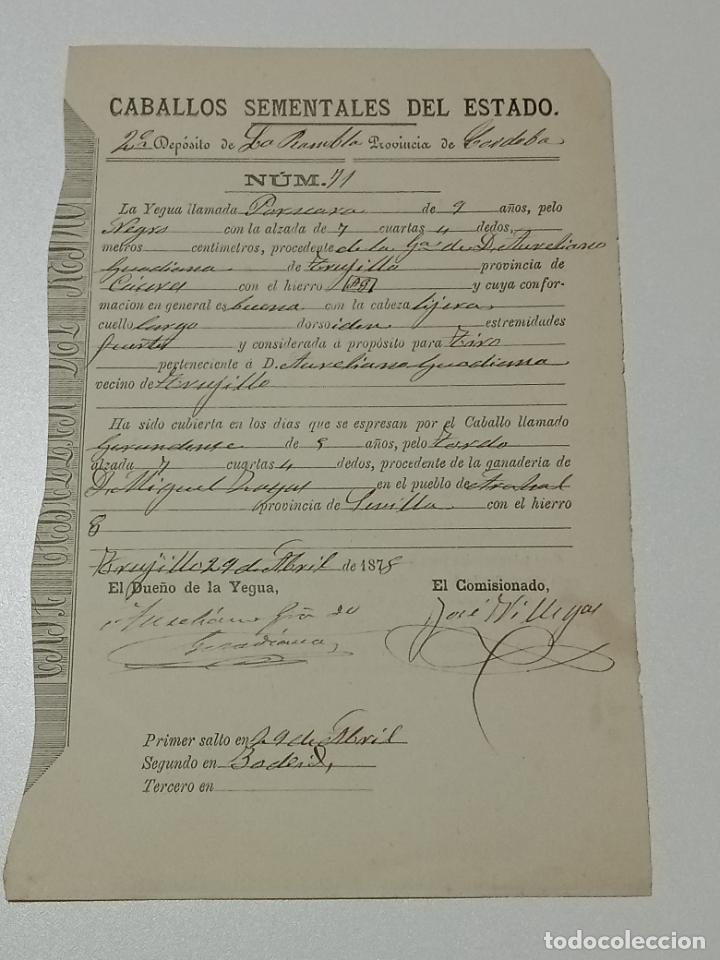 Alte Dokumente: TRUJILLO, CACERES 1878. FICHA APAREAMIENTO CABALLOS Y NACIMIENTO CRIA DEPOSITO LAS RAMBLAS, CORDOBA