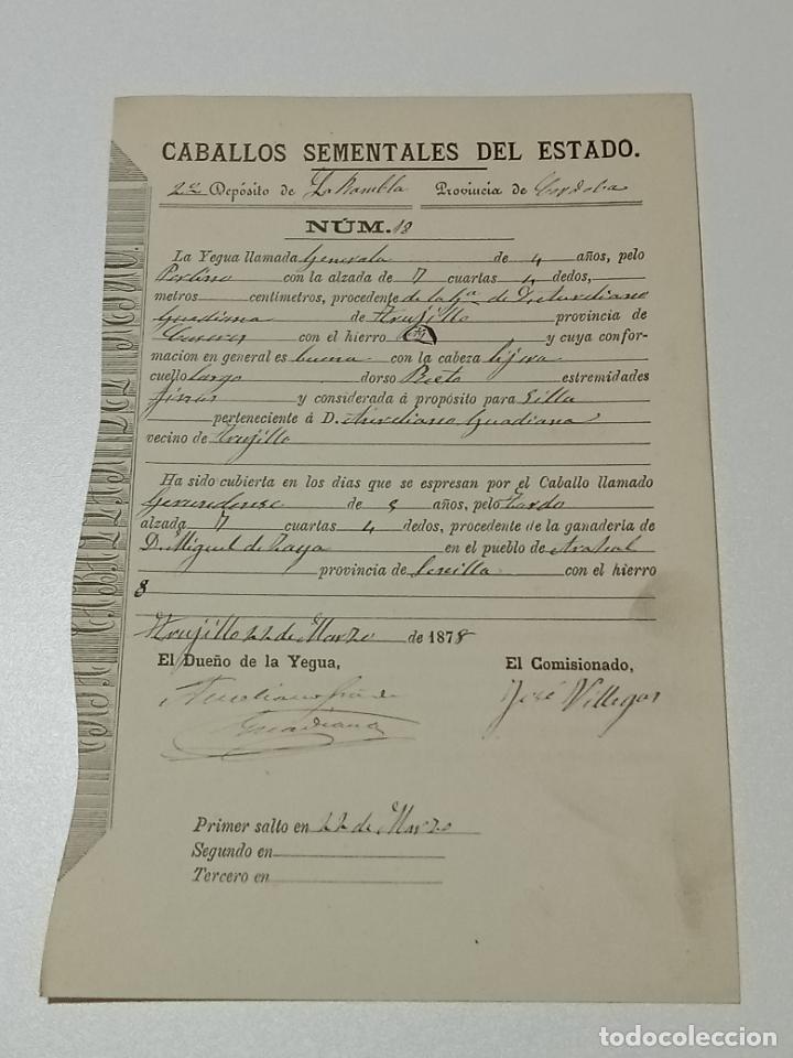 Alte Dokumente: TRUJILLO, CACERES 1878. FICHA APAREAMIENTO CABALLOS Y NACIMIENTO CRIA DEPOSITO LAS RAMBLAS, CORDOBA