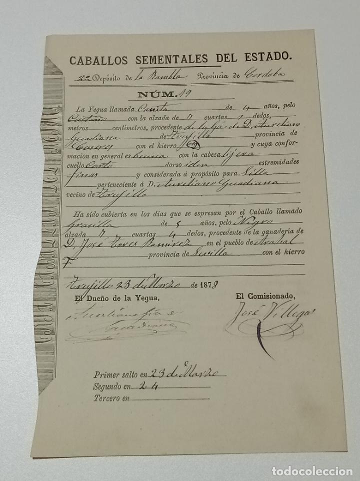 Alte Dokumente: TRUJILLO, CACERES 1878. FICHA APAREAMIENTO CABALLOS Y NACIMIENTO CRIA DEPOSITO LAS RAMBLAS, CORDOBA