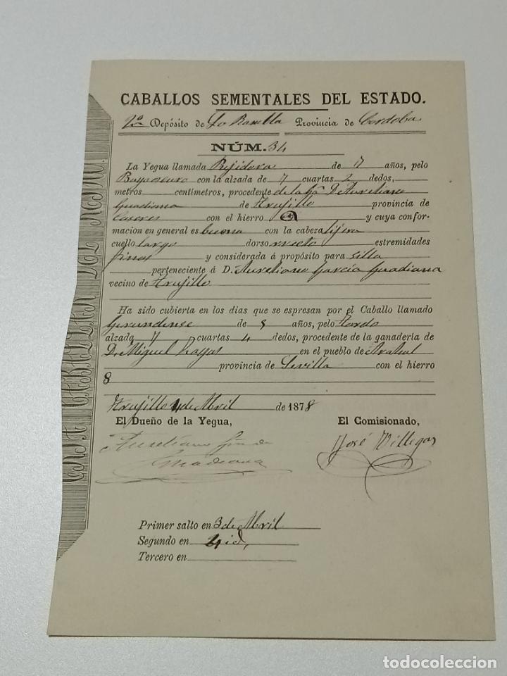 Alte Dokumente: TRUJILLO, CACERES 1878. FICHA APAREAMIENTO CABALLOS Y NACIMIENTO CRIA DEPOSITO LAS RAMBLAS, CORDOBA