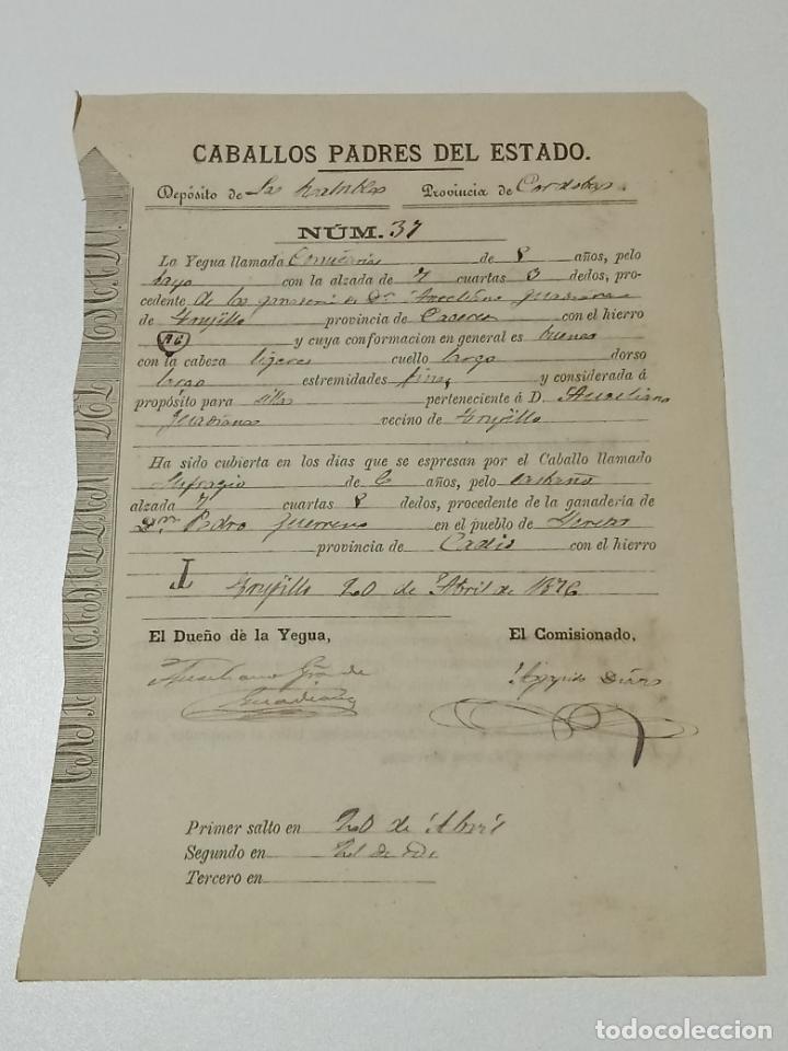 Alte Dokumente: TRUJILLO, CACERES 1876. FICHA APAREAMIENTO CABALLOS Y NACIMIENTO CRIA DEPOSITO LAS RAMBLAS, CORDOBA