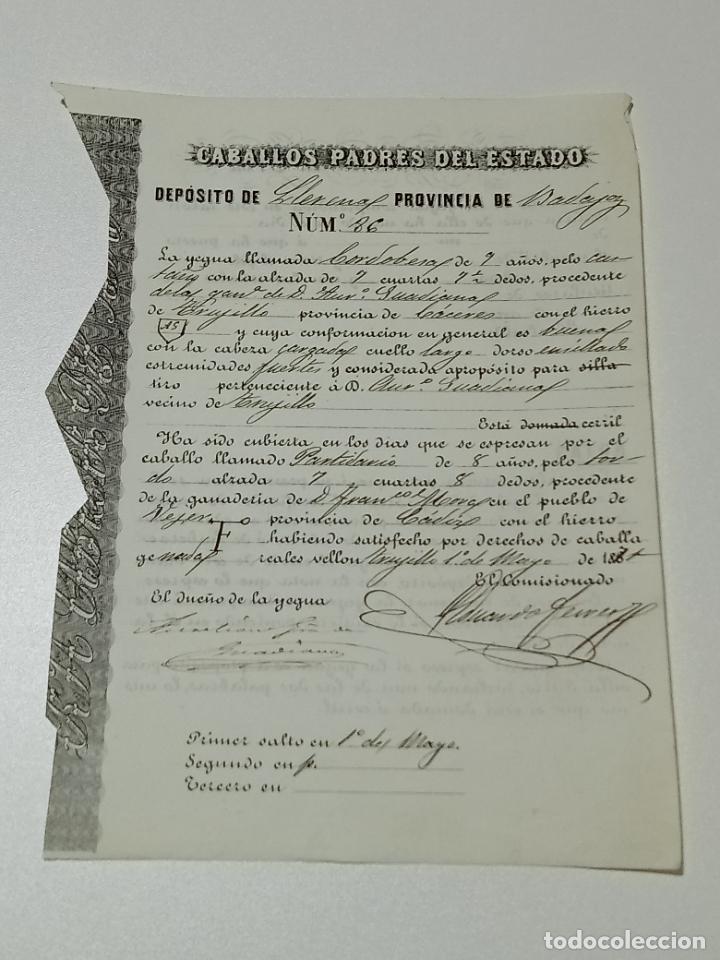 Alte Dokumente: TRUJILLO, CACERES 1871. FICHA APAREAMIENTO CABALLOS Y NACIMIENTO CRIA DEPOSITO LLERENA, BADAJOZ
