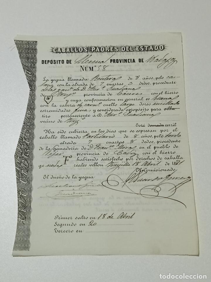 Alte Dokumente: TRUJILLO, CACERES 1871. FICHA APAREAMIENTO CABALLOS Y NACIMIENTO CRIA DEPOSITO LLERENA, BADAJOZ