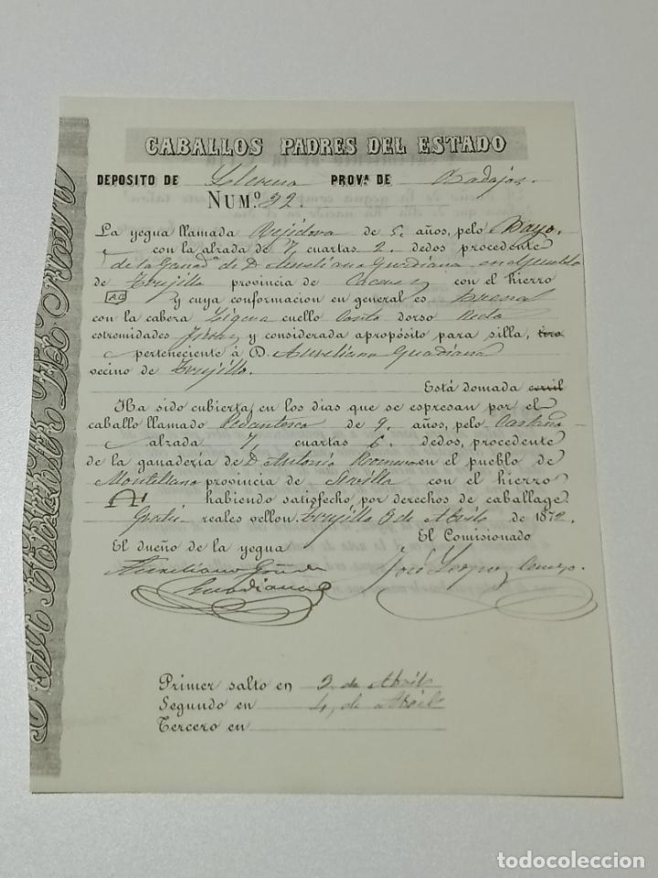 Alte Dokumente: TRUJILLO, CACERES 1872. FICHA APAREAMIENTO CABALLOS Y NACIMIENTO CRIA DEPOSITO LLERENA, BADAJOZ