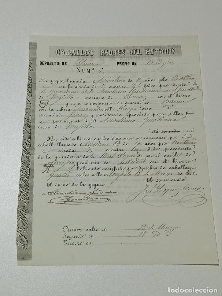 Alte Dokumente: TRUJILLO, CACERES 1872. FICHA APAREAMIENTO CABALLOS Y NACIMIENTO CRIA DEPOSITO LLERENA, BADAJOZ