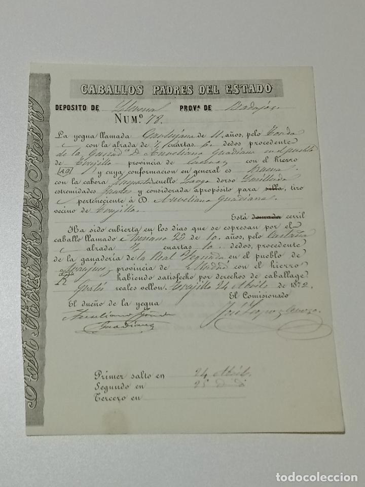 Alte Dokumente: TRUJILLO, CACERES 1872. FICHA APAREAMIENTO CABALLOS Y NACIMIENTO CRIA DEPOSITO LLERENA, BADAJOZ
