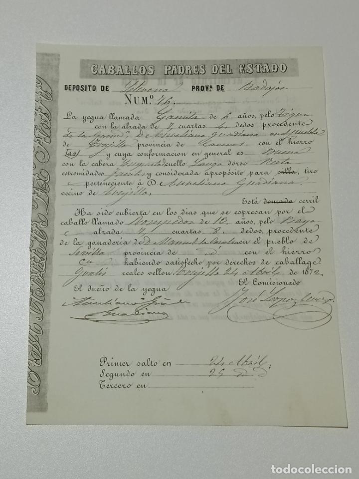 Alte Dokumente: TRUJILLO, CACERES 1872. FICHA APAREAMIENTO CABALLOS Y NACIMIENTO CRIA DEPOSITO LLERENA, BADAJOZ