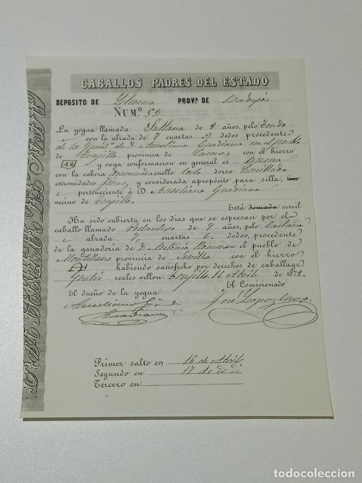 Alte Dokumente: TRUJILLO, CACERES 1872. FICHA APAREAMIENTO CABALLOS Y NACIMIENTO CRIA DEPOSITO LLERENA, BADAJOZ