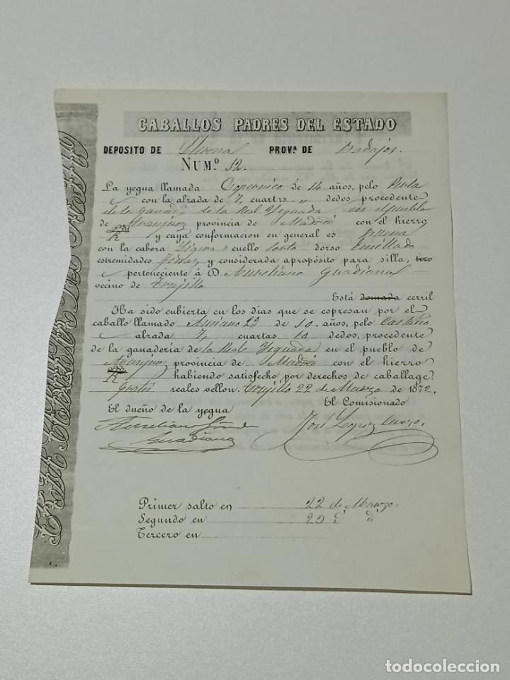 Alte Dokumente: TRUJILLO, CACERES 1872. FICHA APAREAMIENTO CABALLOS Y NACIMIENTO CRIA DEPOSITO LLERENA, BADAJOZ