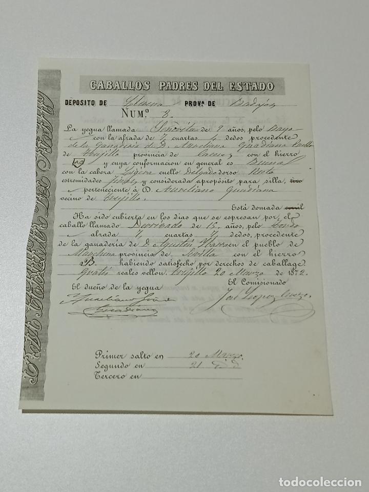 Alte Dokumente: TRUJILLO, CACERES 1872. FICHA APAREAMIENTO CABALLOS Y NACIMIENTO CRIA DEPOSITO LLERENA, BADAJOZ