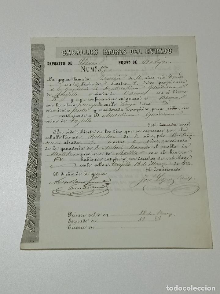 Alte Dokumente: TRUJILLO, CACERES 1872. FICHA APAREAMIENTO CABALLOS Y NACIMIENTO CRIA DEPOSITO LLERENA, BADAJOZ