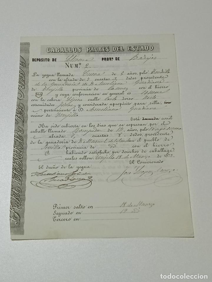Alte Dokumente: TRUJILLO, CACERES 1872. FICHA APAREAMIENTO CABALLOS Y NACIMIENTO CRIA DEPOSITO LLERENA, BADAJOZ