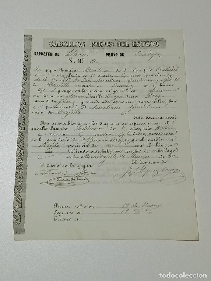 Alte Dokumente: TRUJILLO, CACERES 1872. FICHA APAREAMIENTO CABALLOS Y NACIMIENTO CRIA DEPOSITO LLERENA, BADAJOZ