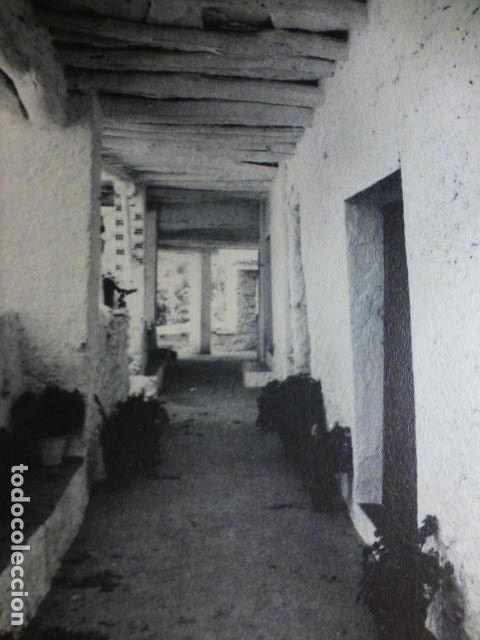 Documentos antiguos: PAMPANEIRA GRANADA ANTIGUO HUECOGRABADO - Foto 1