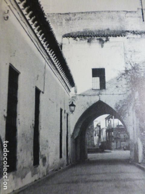 Documentos antiguos: PALMA DEL RIO CORDOBA ANTIGUO HUECOGRABADO