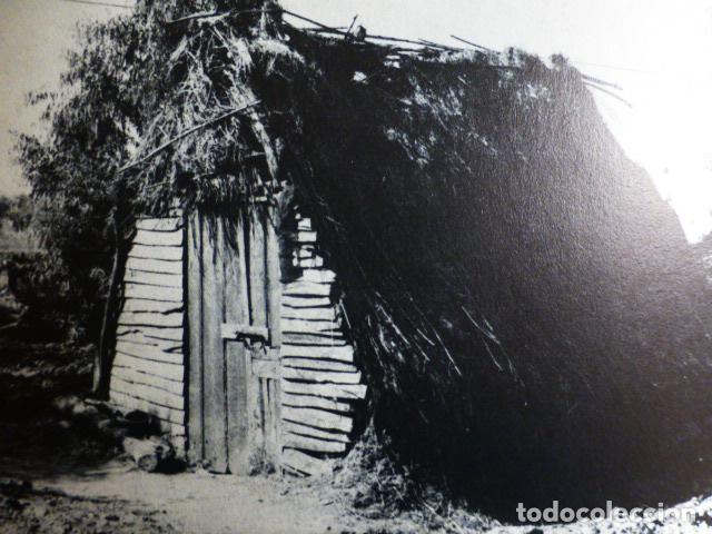Documentos antiguos: ALBAIDA DE ALJARAFE SEVILLA ANTIGUO HUECOGRABADO