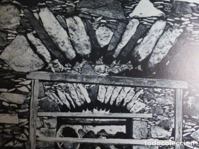 Documentos antiguos: PAJARA FUERTEVENTURA ANTIGUO HUECOGRABADO