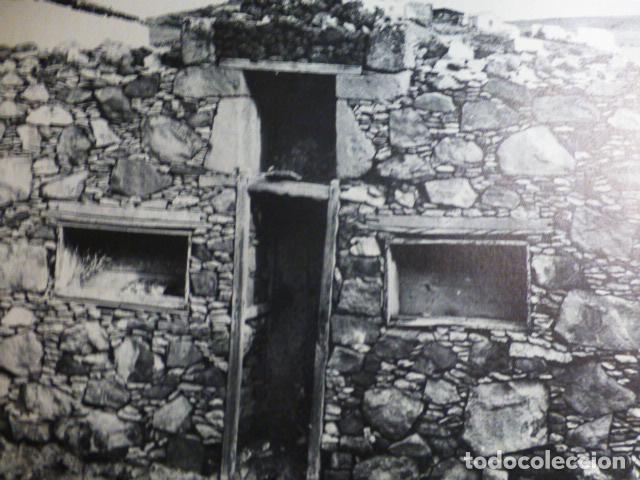 Old Documents: PAJARA FUERTEVENTURA ANTIGUO HUECOGRABADO